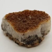 citrine bed 4 side view
