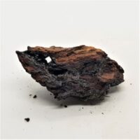 geothite 10 reverse view