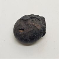 iron ammonite 2