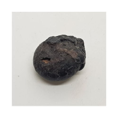 iron ammonite 2