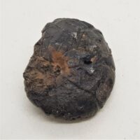 iron ammonite 3