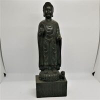 standing buddha front view