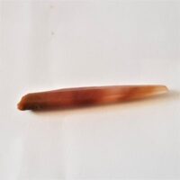orange phantom point 1