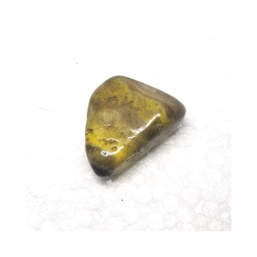 jasper bumblebee