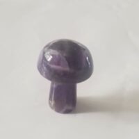 amethyst mini mushroom