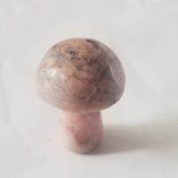 rhodonite mini mushroom