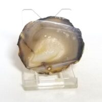 agate slice 3