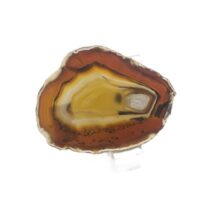 Agate slice 2