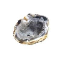 mini half geode