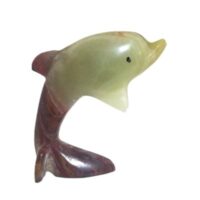 onyx dolphin