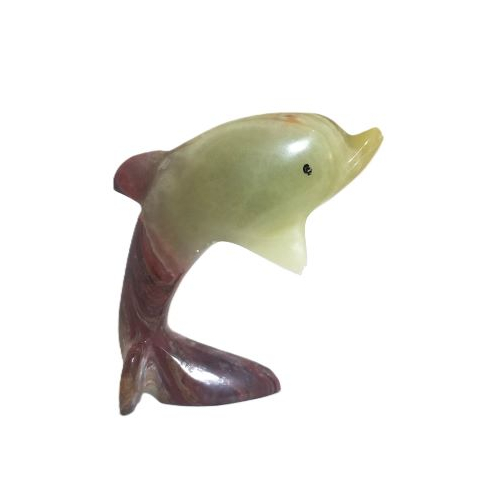 onyx dolphin