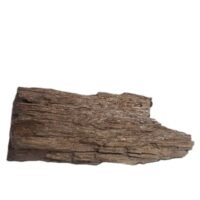 petrified wood