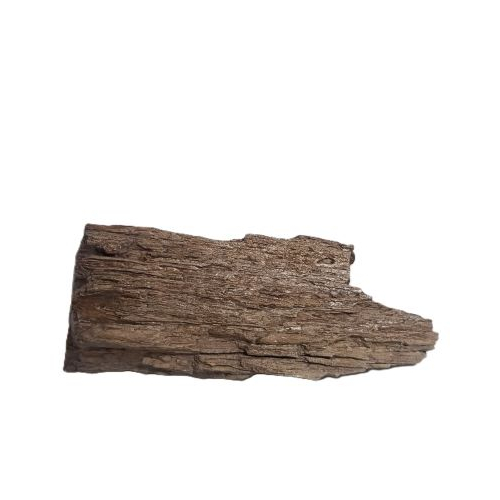 petrified wood