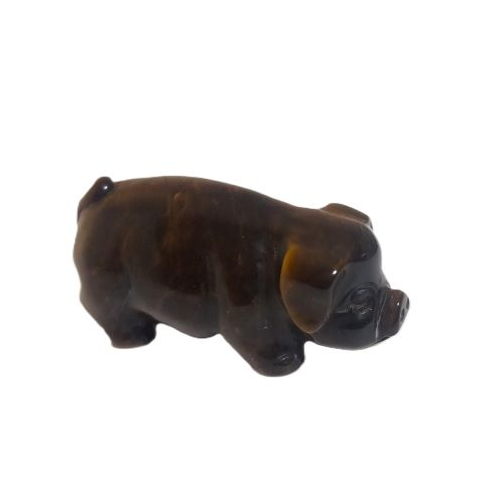 tiger eye pig