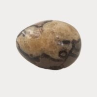 Septarian egg