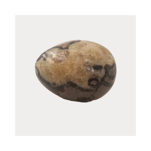 Septarian egg